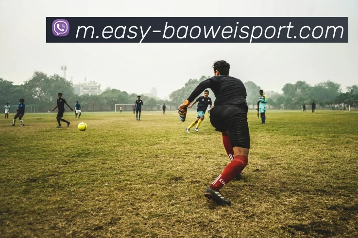奖项证书